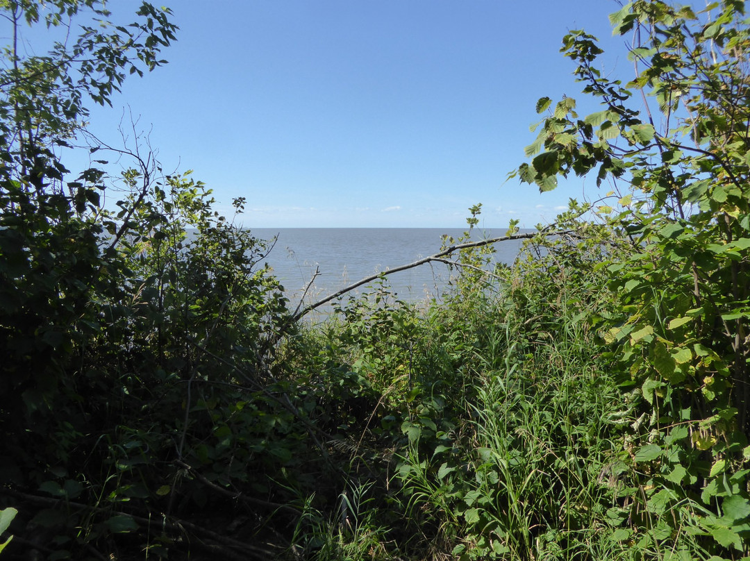 Powerview - Pine Falls旅游景点-Elk Island Provincial Park