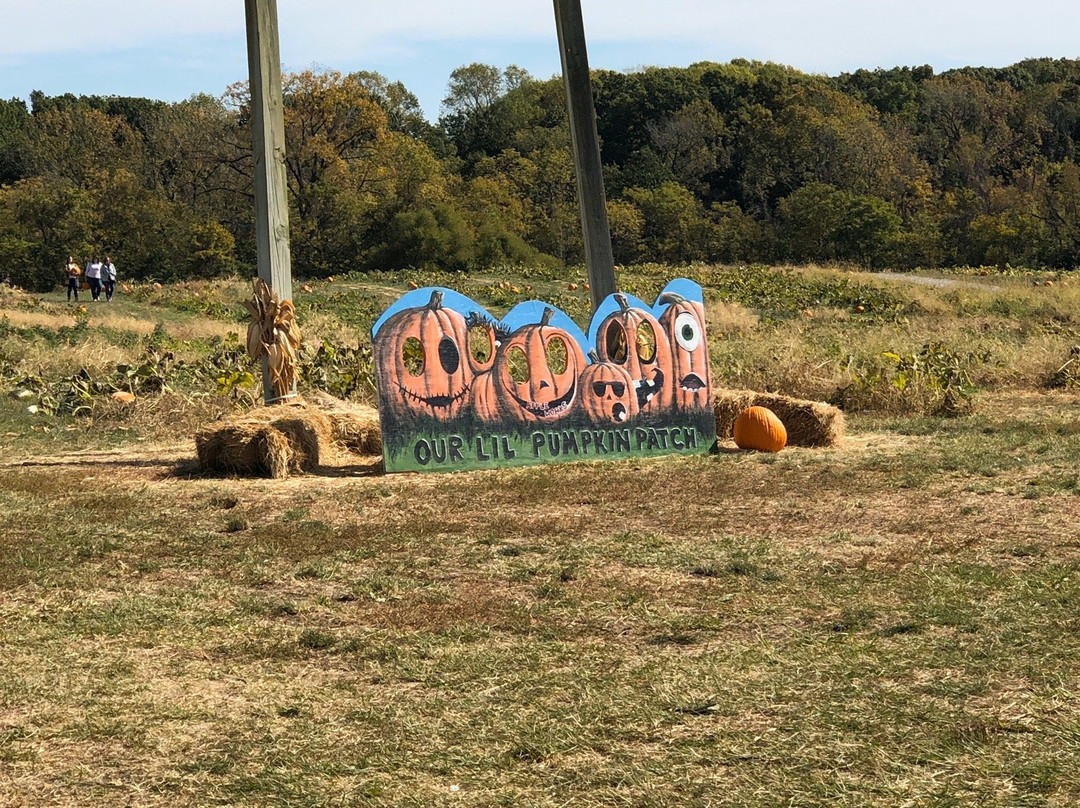 The Apple Works-Trafalgar必去景点