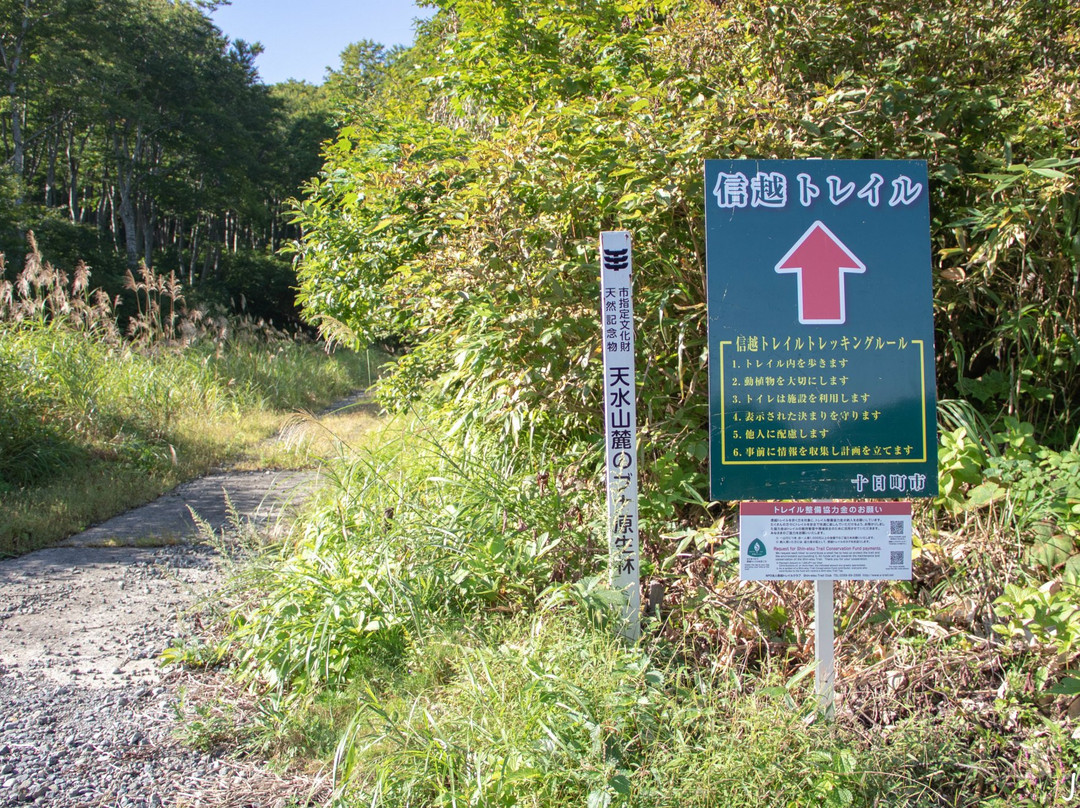 Shinetsu Trail-饭山市必去景点