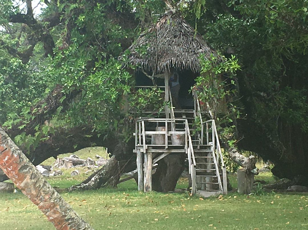 Port Olry Tree House