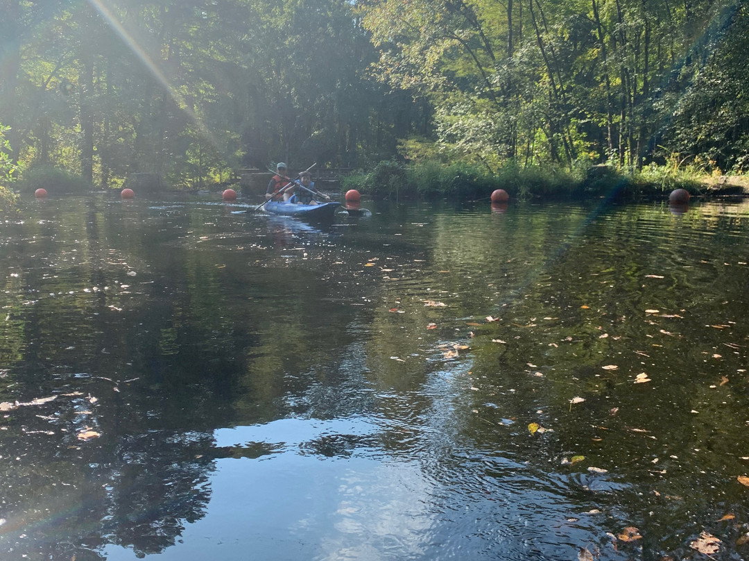 Paddle Creek景点图片