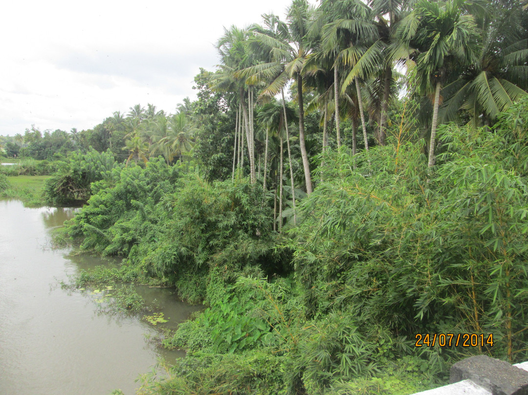 Achankovil River-Pathanamthitta必去景点