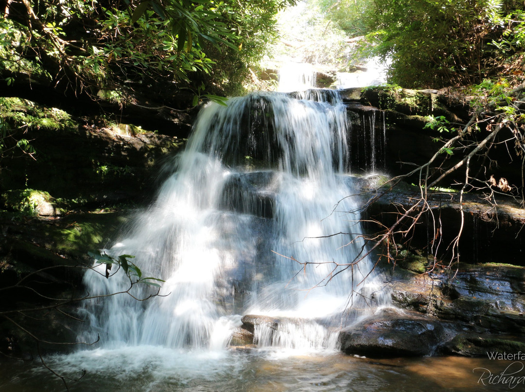 Martins Creek Falls景点图片