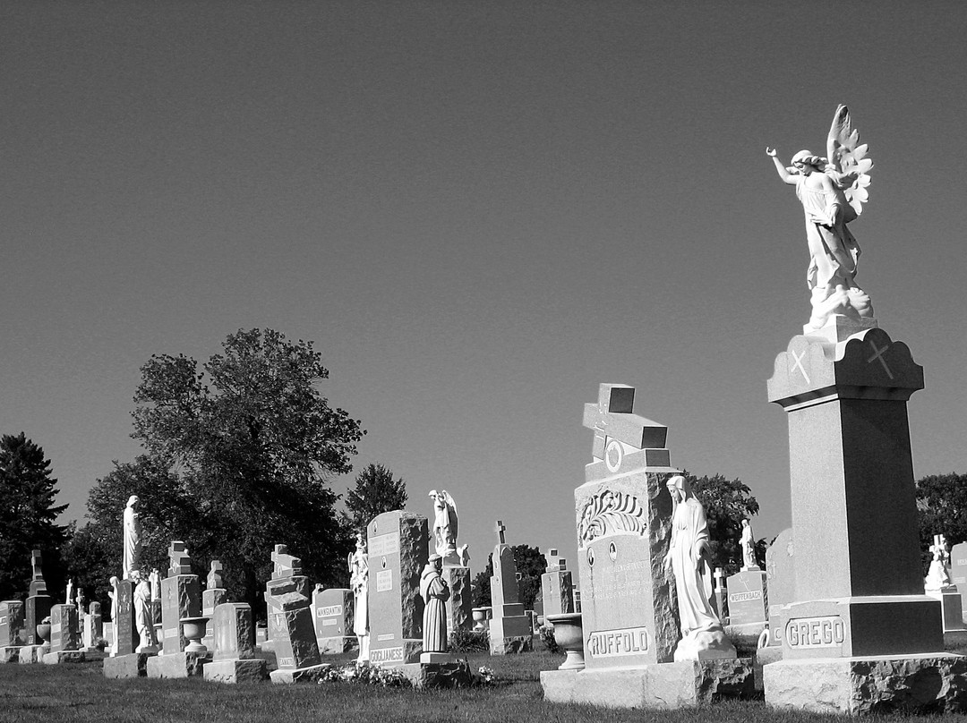 Mount Carmel Cemetery景点图片