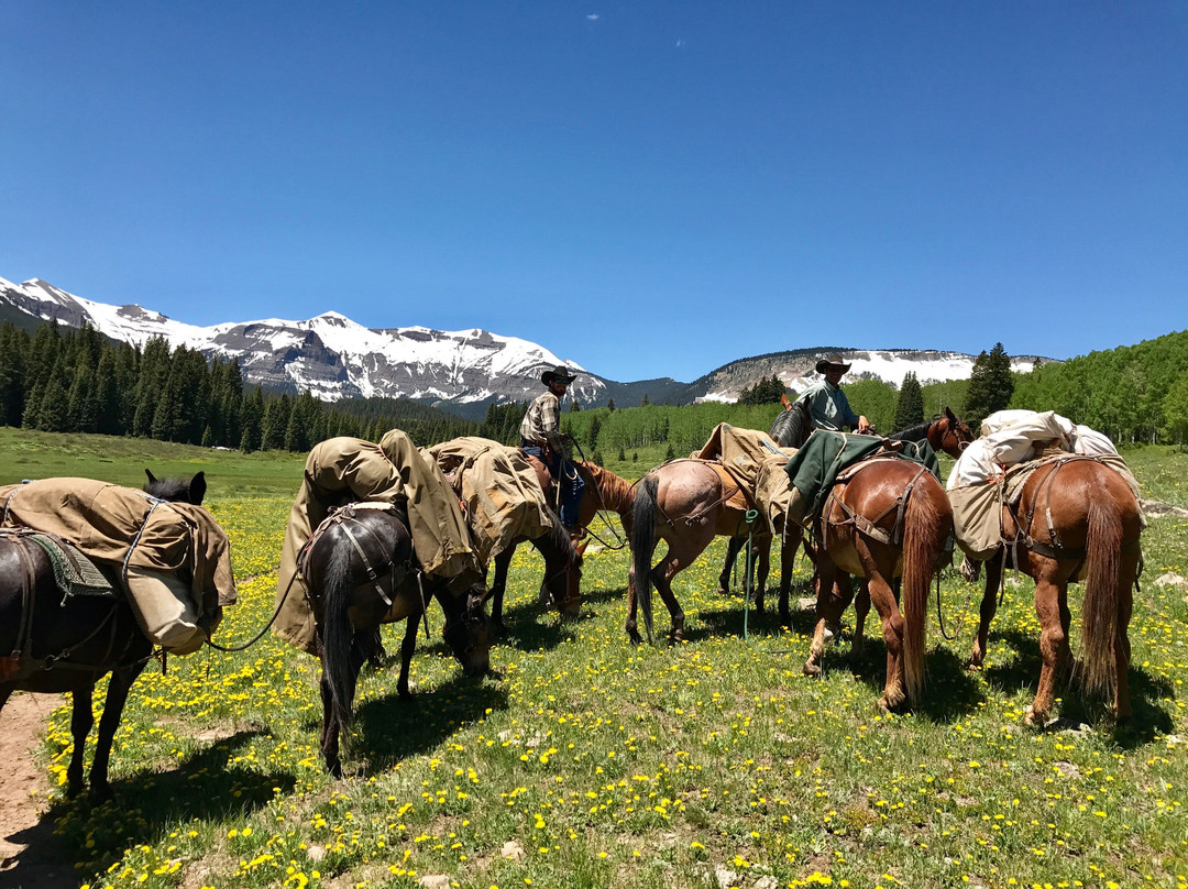 Gunnison Country Outfitters景点图片