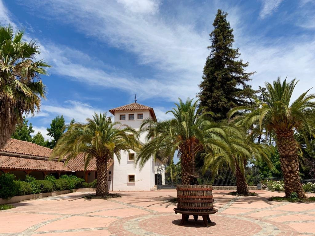 Vinedos Torreon de Paredes-Rengo必去景点