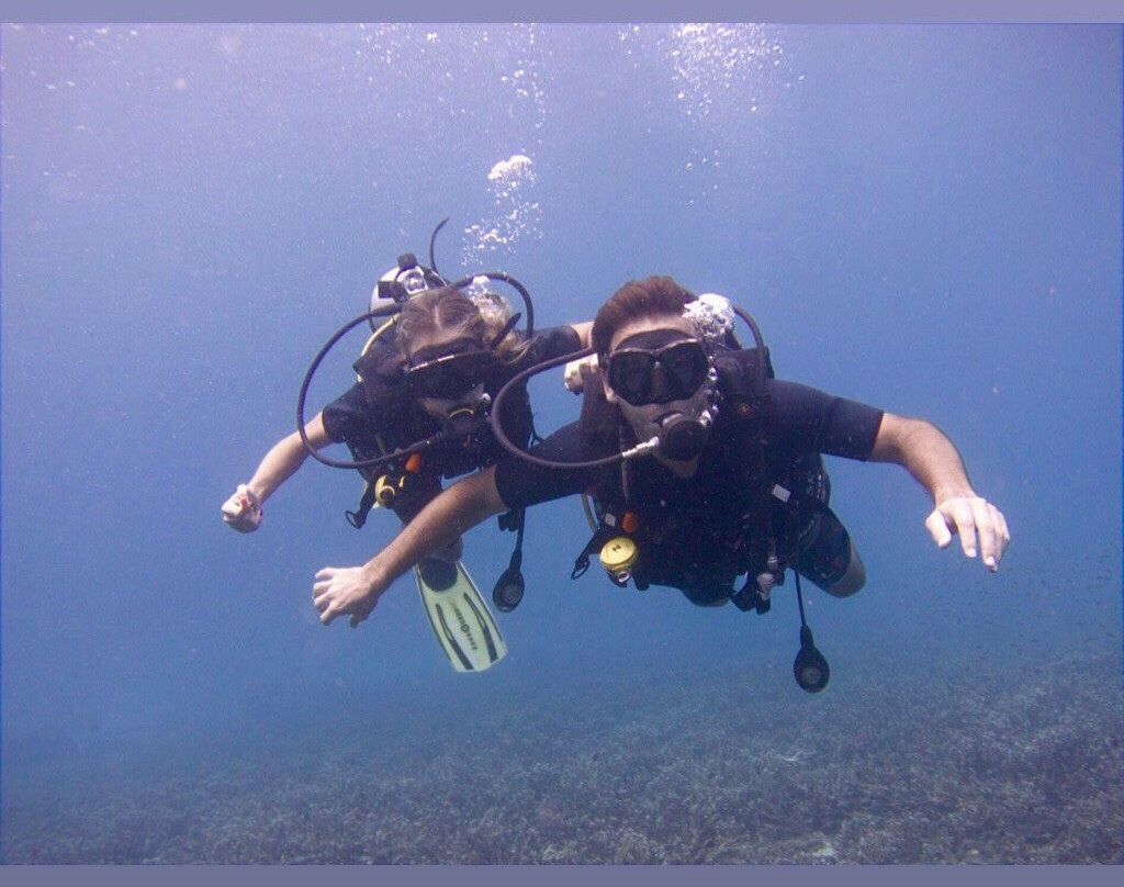 Searobin Dive Center景点图片