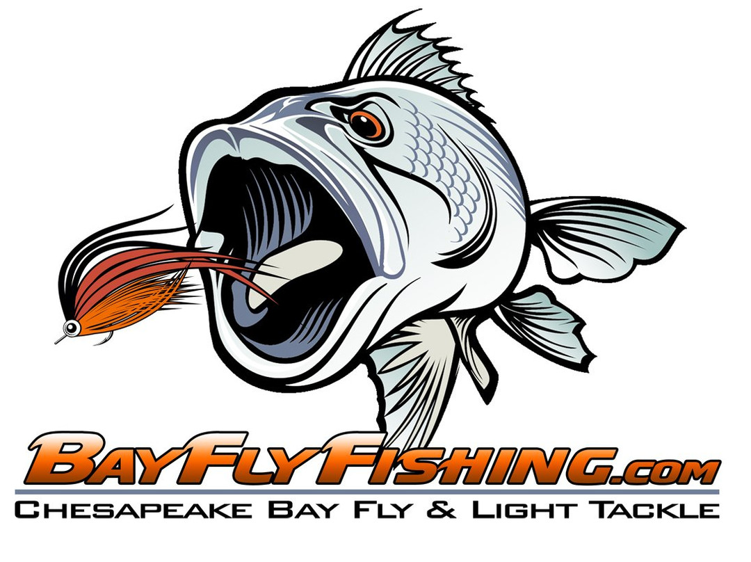 Bay Fly Fishing景点图片