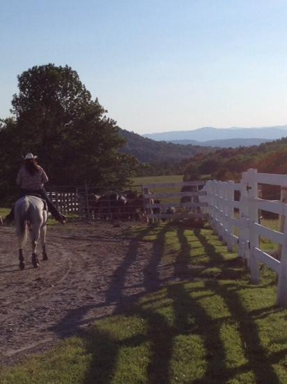 Hydeville旅游景点-Pond Hill Ranch and Pro Rodeo