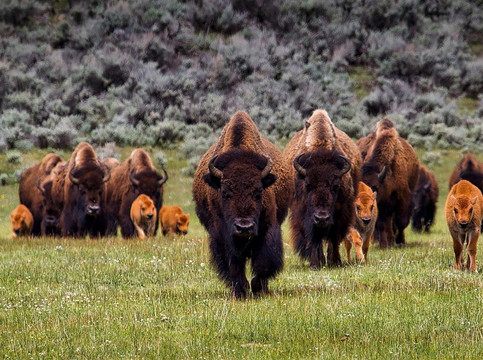 Prairie Spirit Tours-拉皮德城必去景点