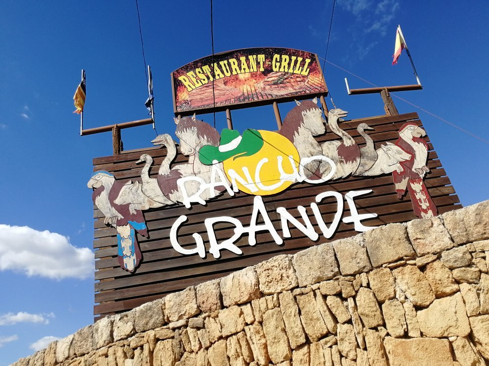 Buggy Xperience-Ca'n Picafort必去景点