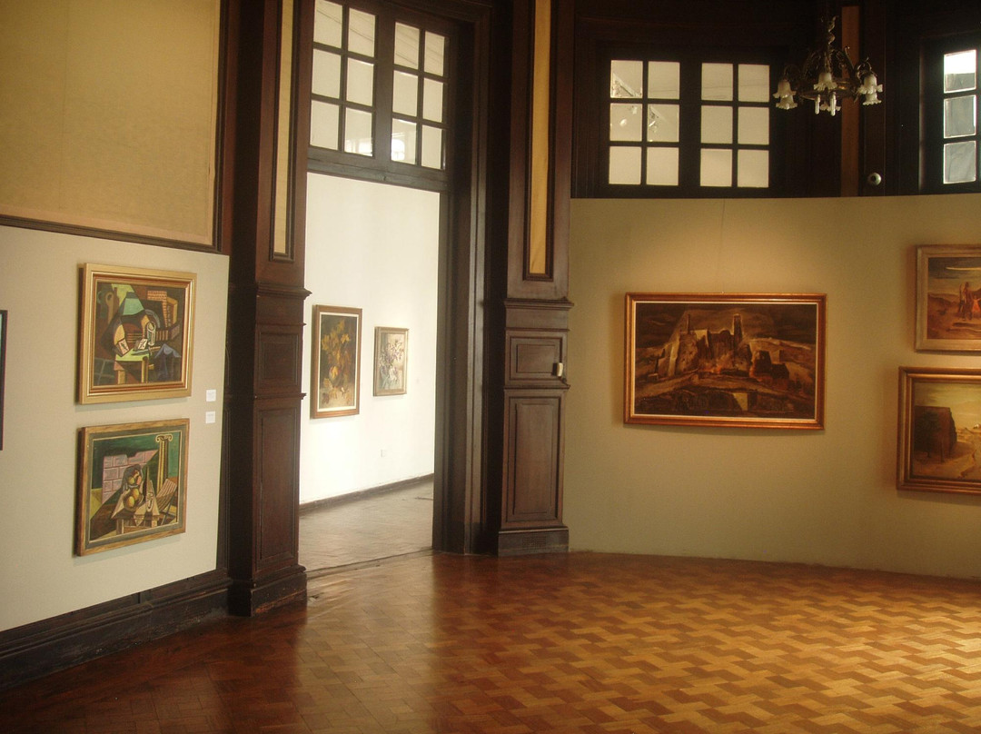 Museo Municipal de Bellas Artes景点图片