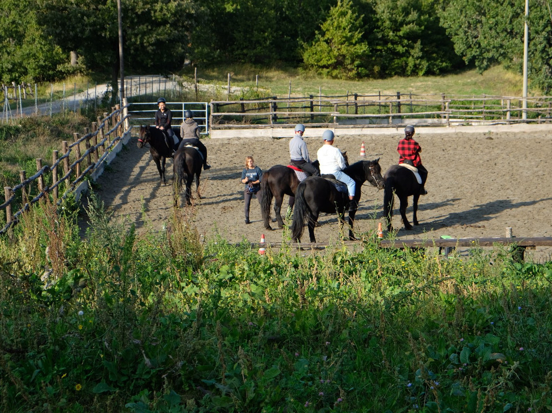 Bardigiani del San Bartolo Turismo equestre-San Leo必去景点