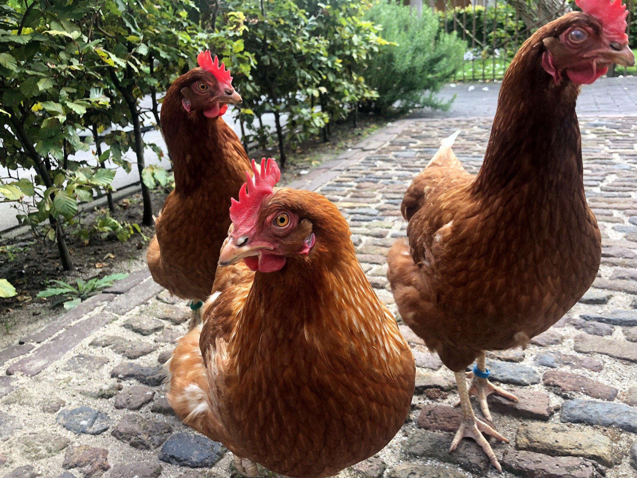 Bed & Breakfast Monument076-官方