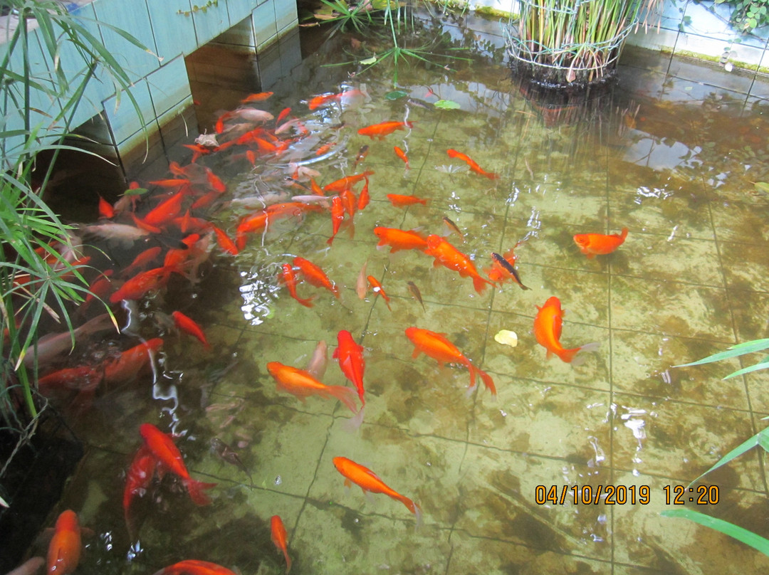 Donetsk Botanical Garden-顿涅茨克必去景点