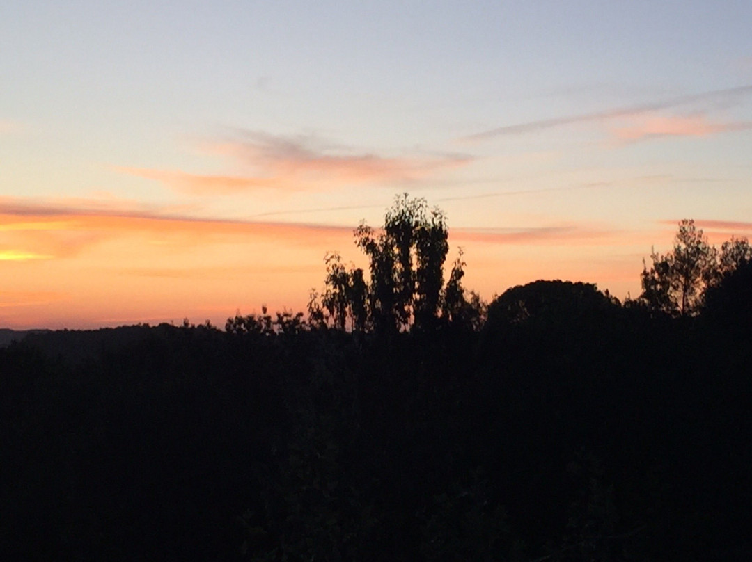 Mas Pitra Bed & Breakfast主图