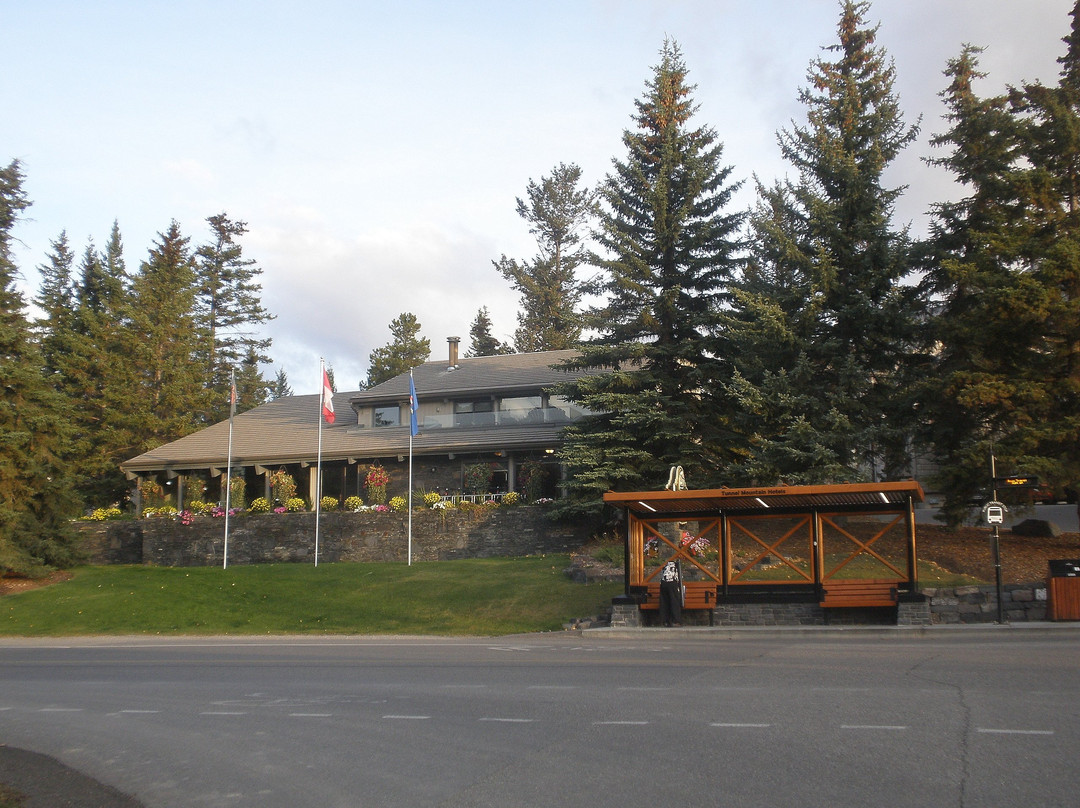 花旗松小屋度假酒店主图