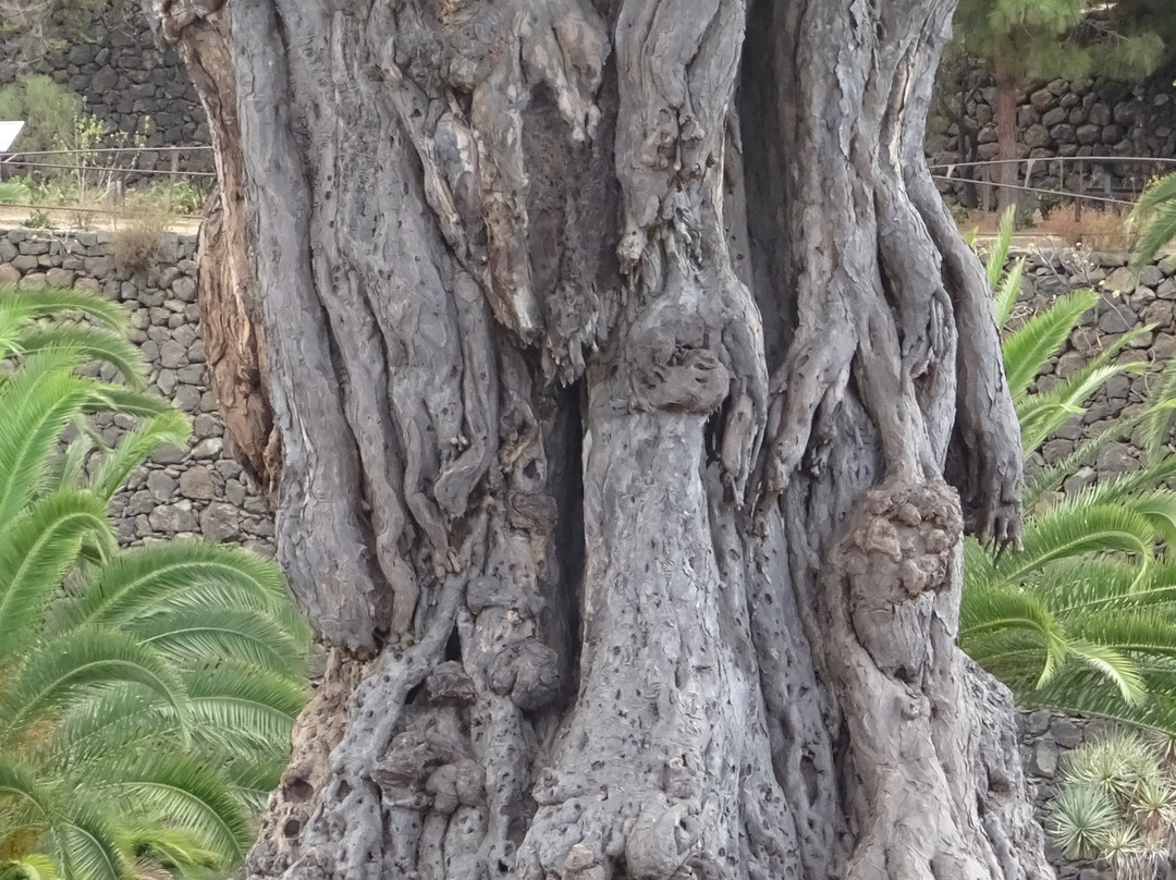 Parque Andres de Lorenzo Caceres景点图片