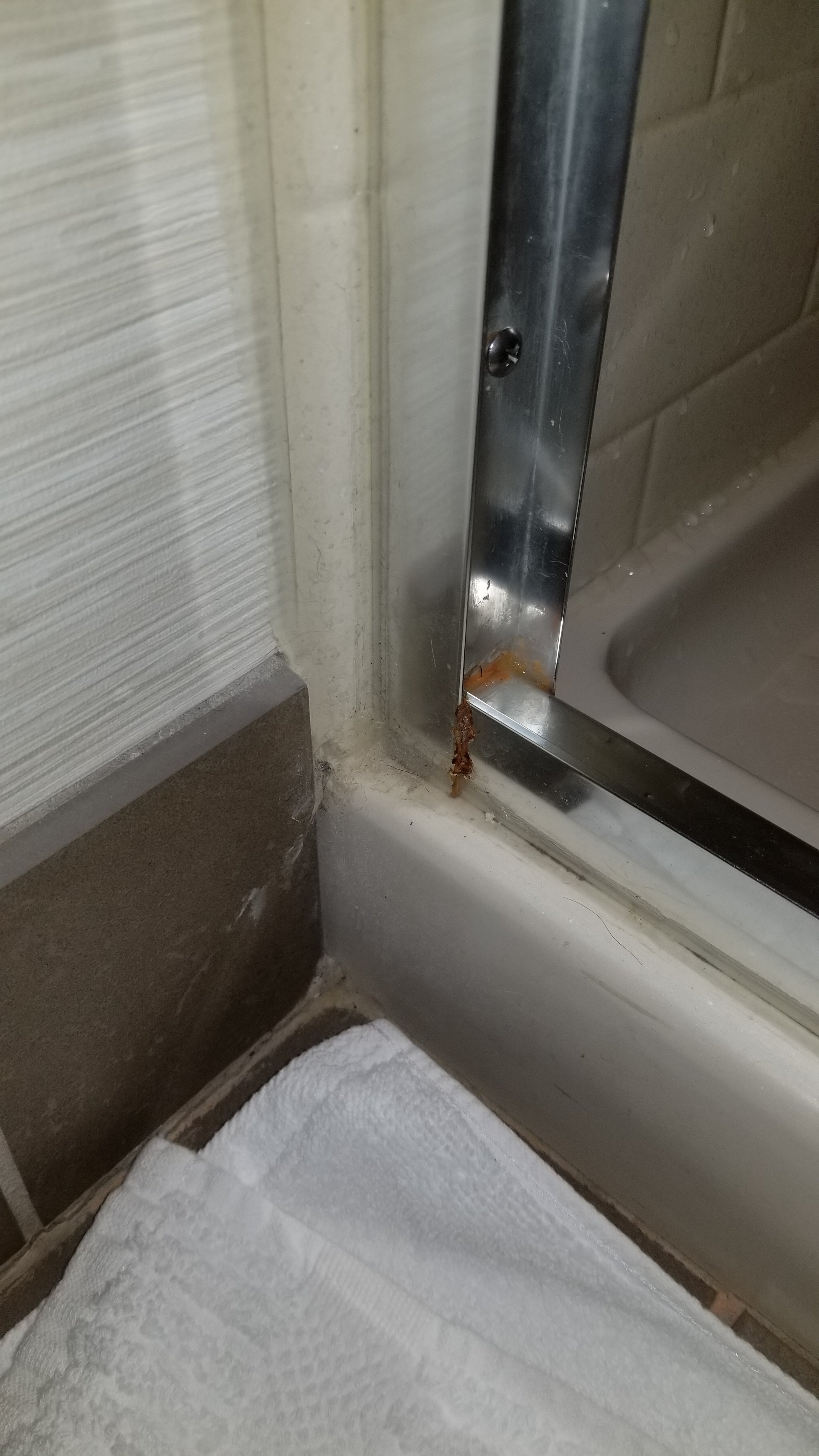 Candlewood Suites Youngstown West - Austintown by IHG-浴室