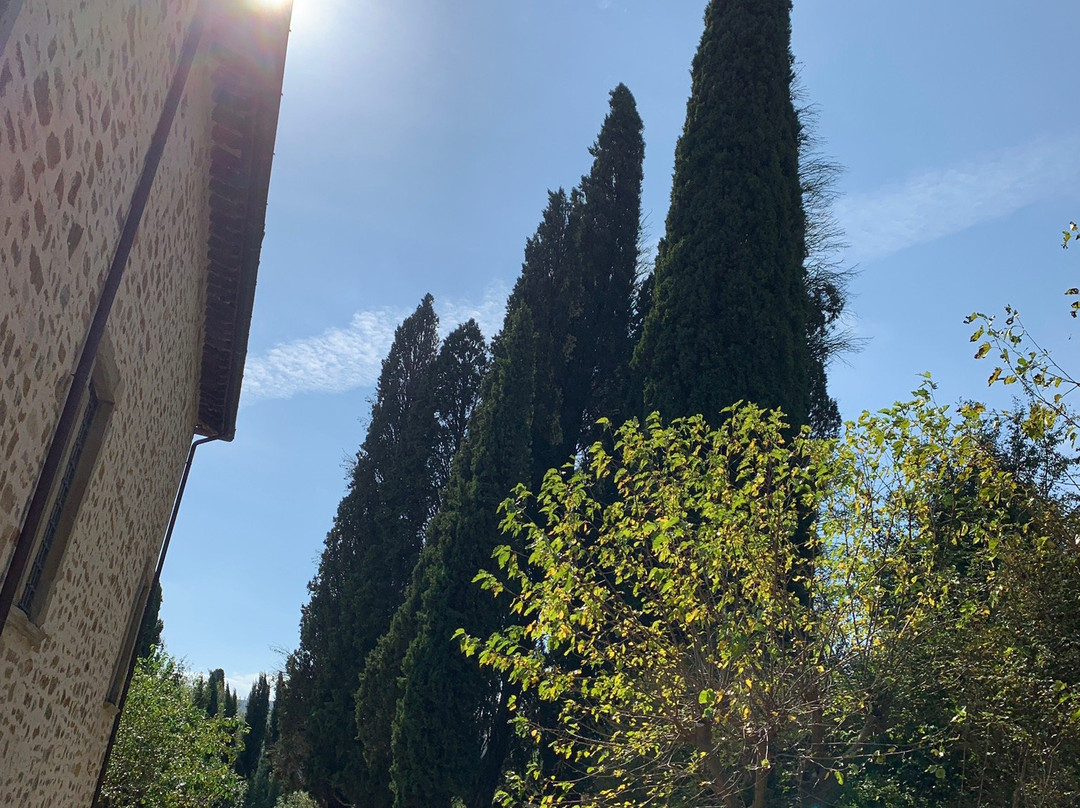 Villa Filippetti-古比奥必去景点