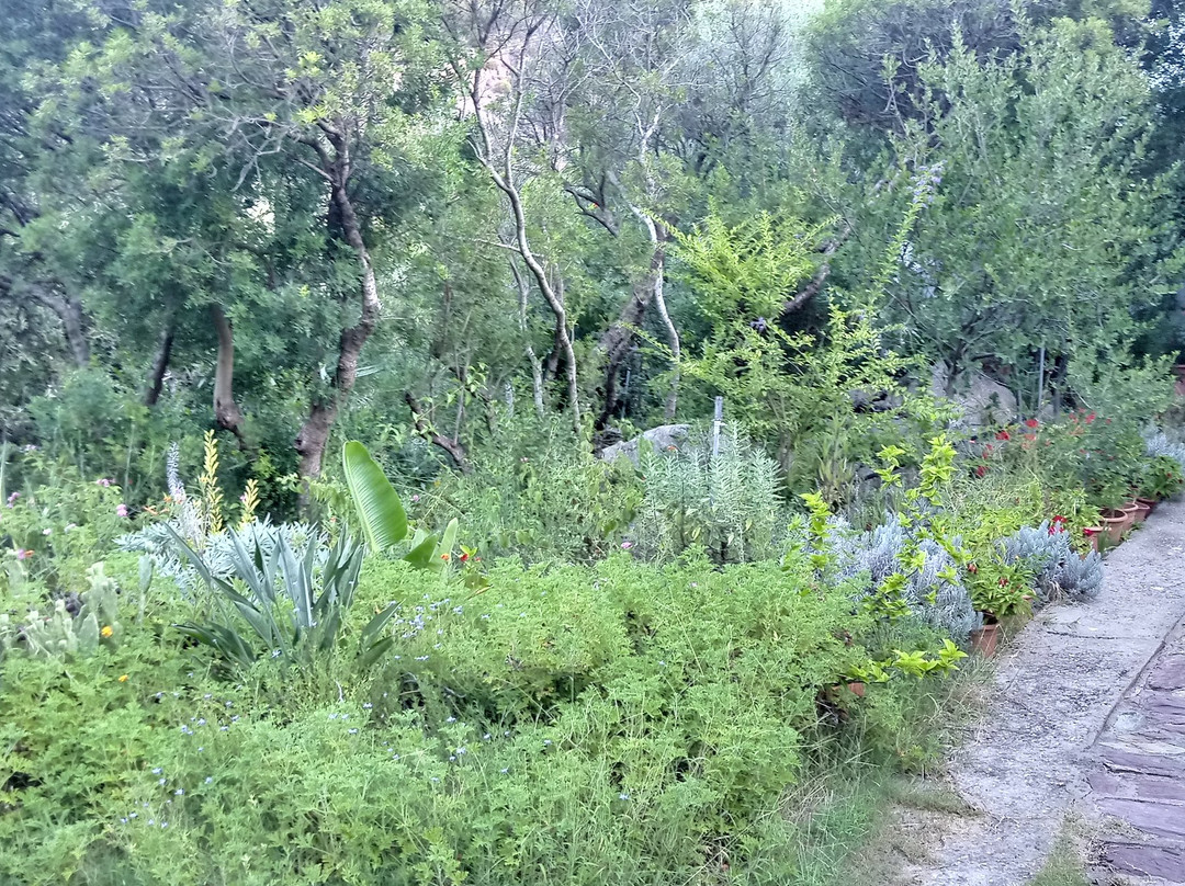 S'Archiotta B&B主图