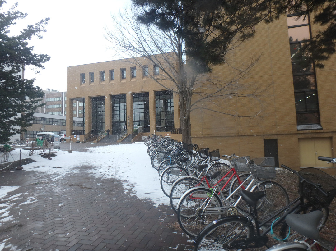 北海道大学札幌校区景点图片