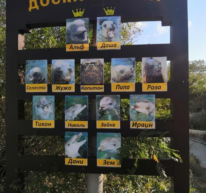 Anapa Dolphinarium-Bolshoy Utrish必去景点