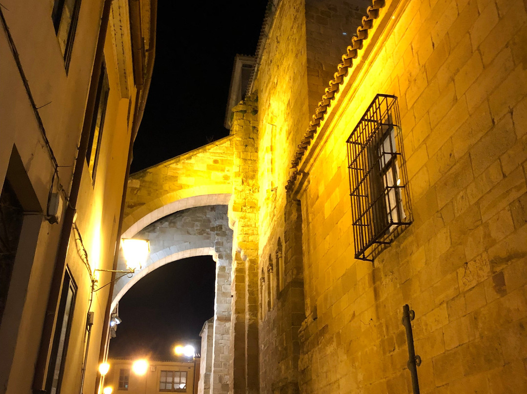 Iglesia de San Isidoro-萨莫拉必去景点