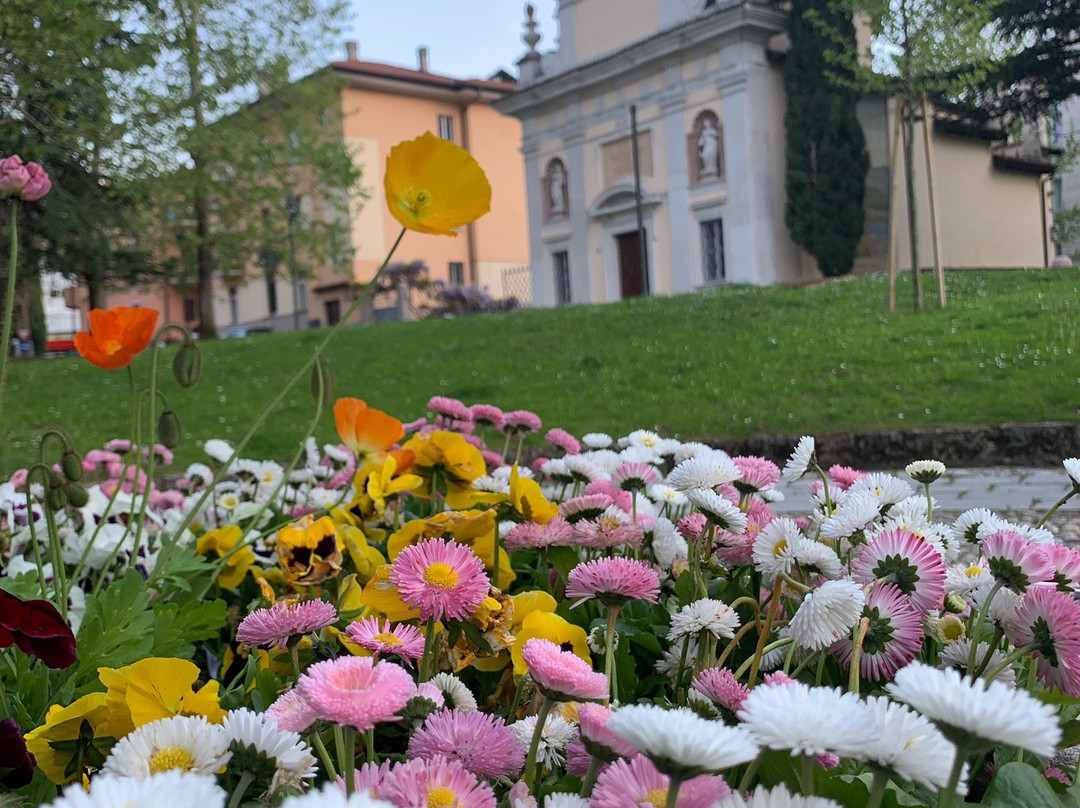 Santa Maria delle Grazie-罗韦雷托必去景点