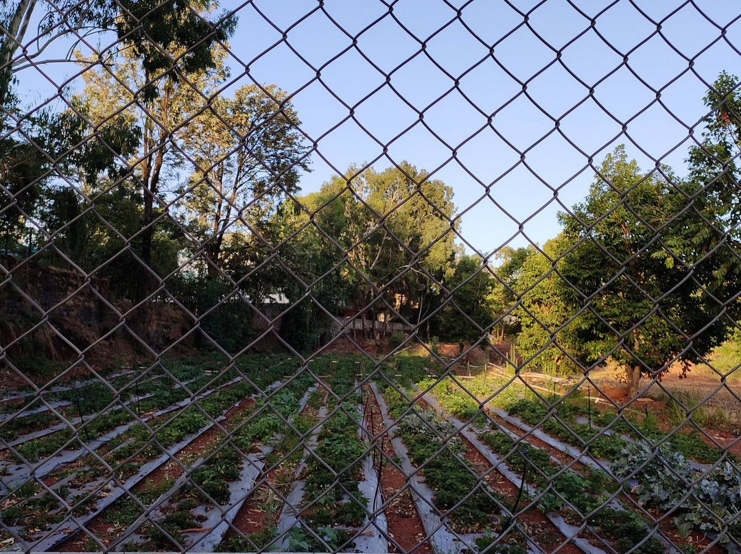 新纪元公园酒店主图