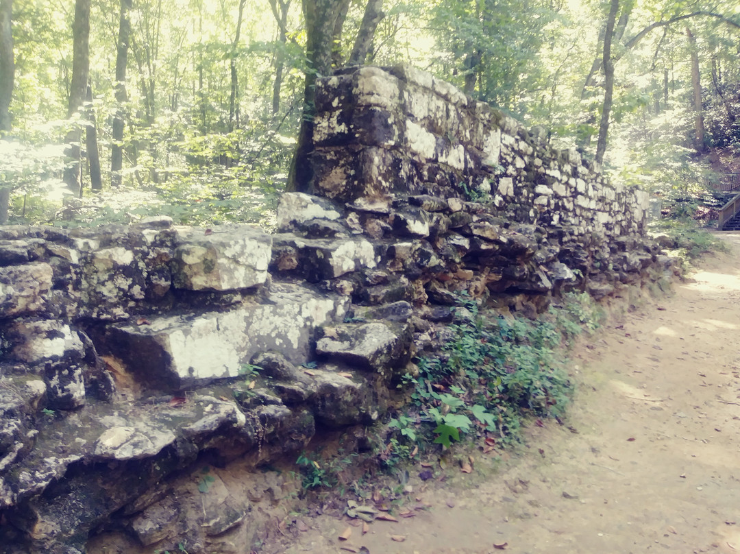 Poinsett Bridge-格林维尔必去景点