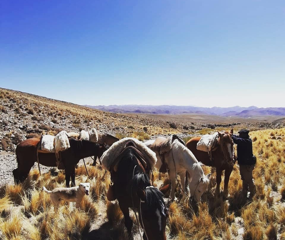 Reserva Natural Villavicencio-Las Heras必去景点