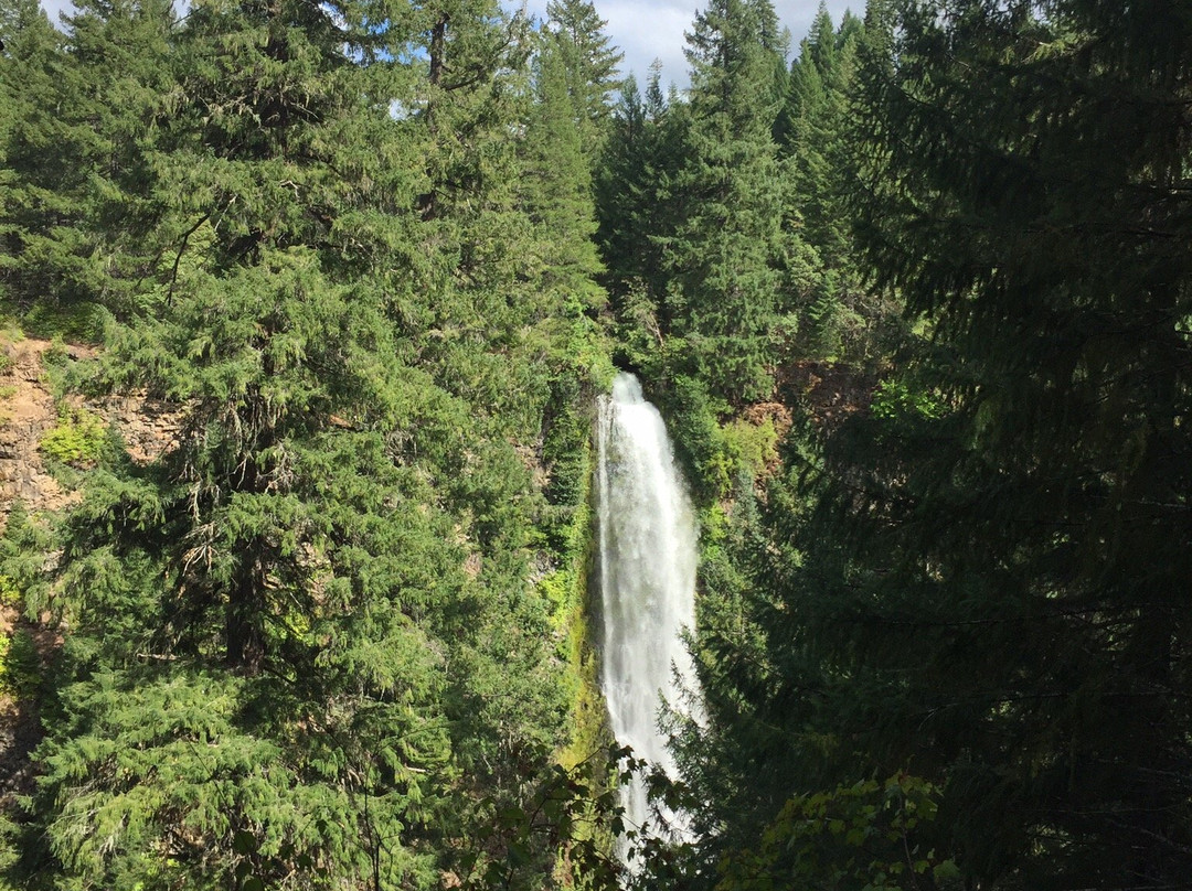 Mill Creek Falls-Prospect必去景点