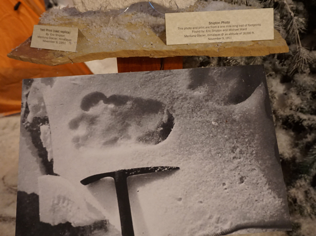 Expedition Bigfoot Adventure Outpost-蓝岭必去景点