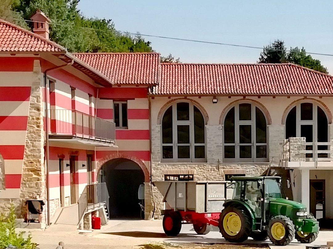 Azienda Agricola Barberis景点图片