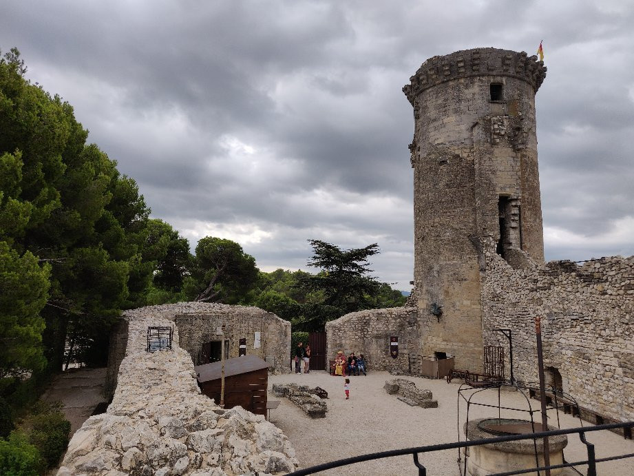 Chateau Feodal de Chateaurenard景点图片