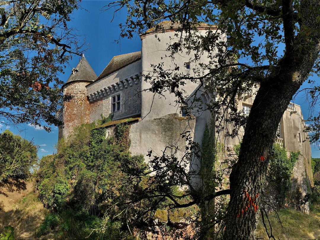 Château du Bouchet景点图片