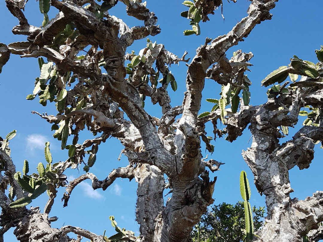 Varadero Yincia's House主图