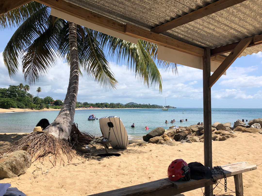 Seakindly Experiences-圣胡安必去景点