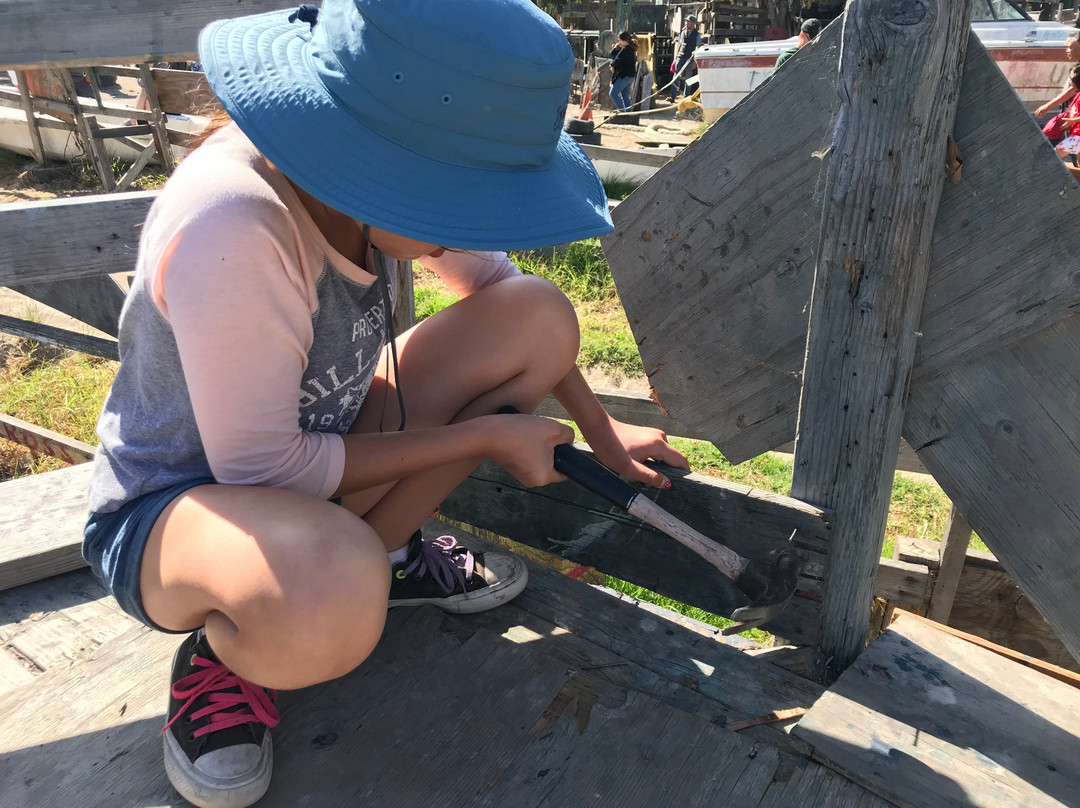 Adventure Playground-伯克利必去景点