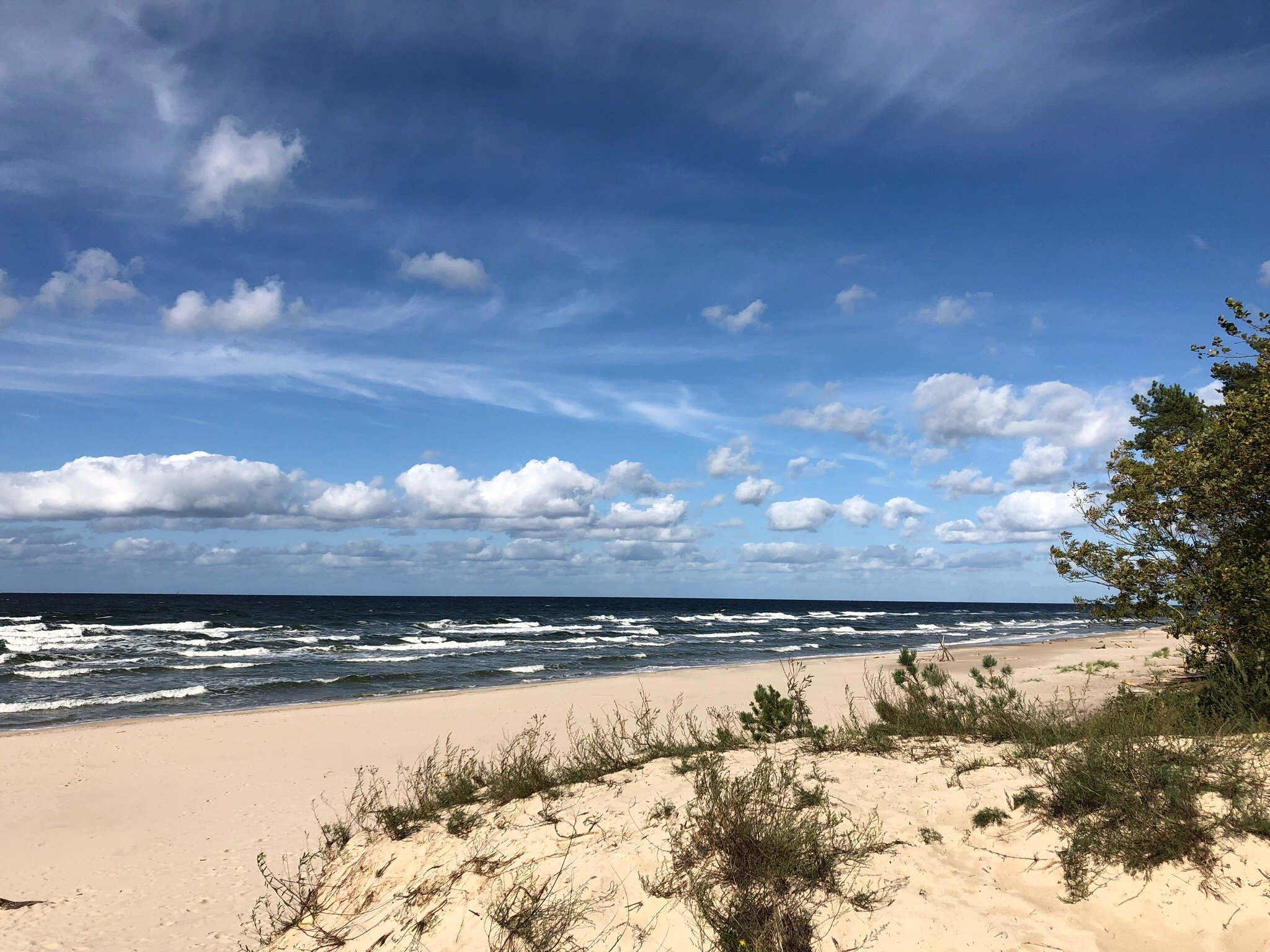 Villa Park Wiselka-官方