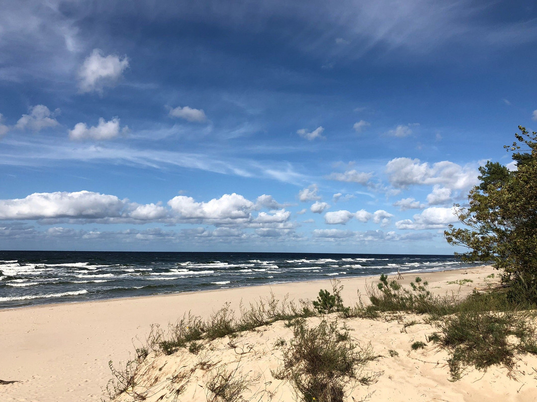 Villa Park Wiselka主图