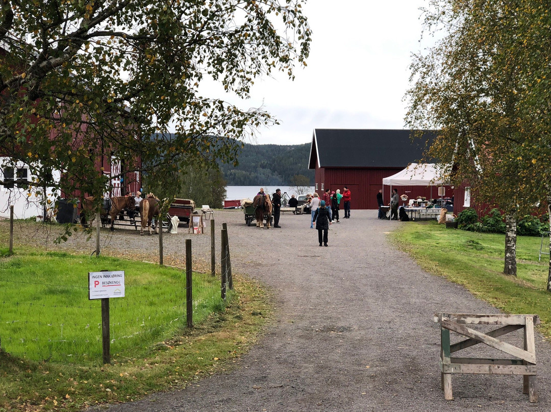 Skjerven Farm-奥斯陆必去景点
