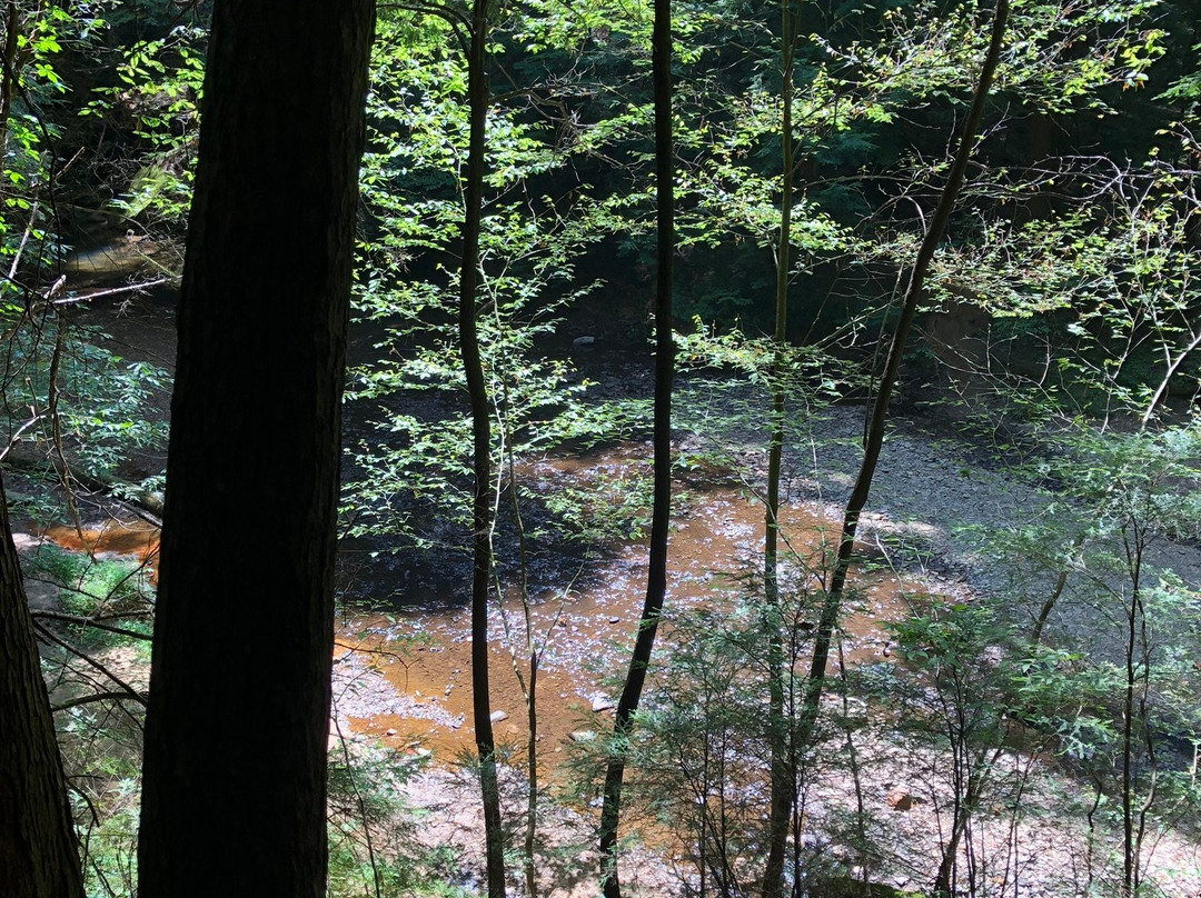 Hocking Hills Regional Welcome Center景点图片