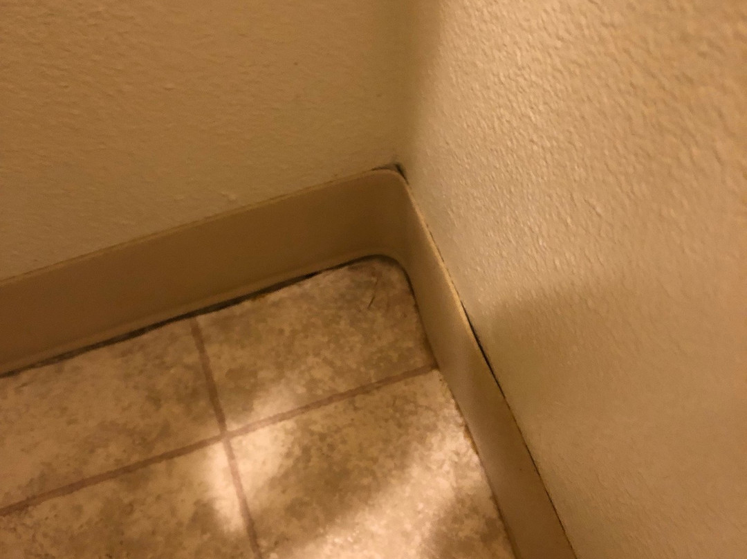 黄石公园狮头速8汽车旅馆主图