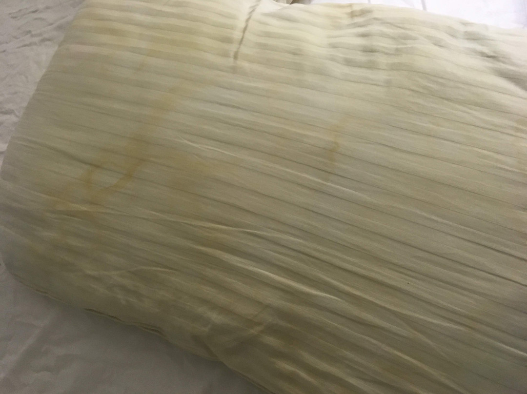 Woodland Park Country Lodge主图