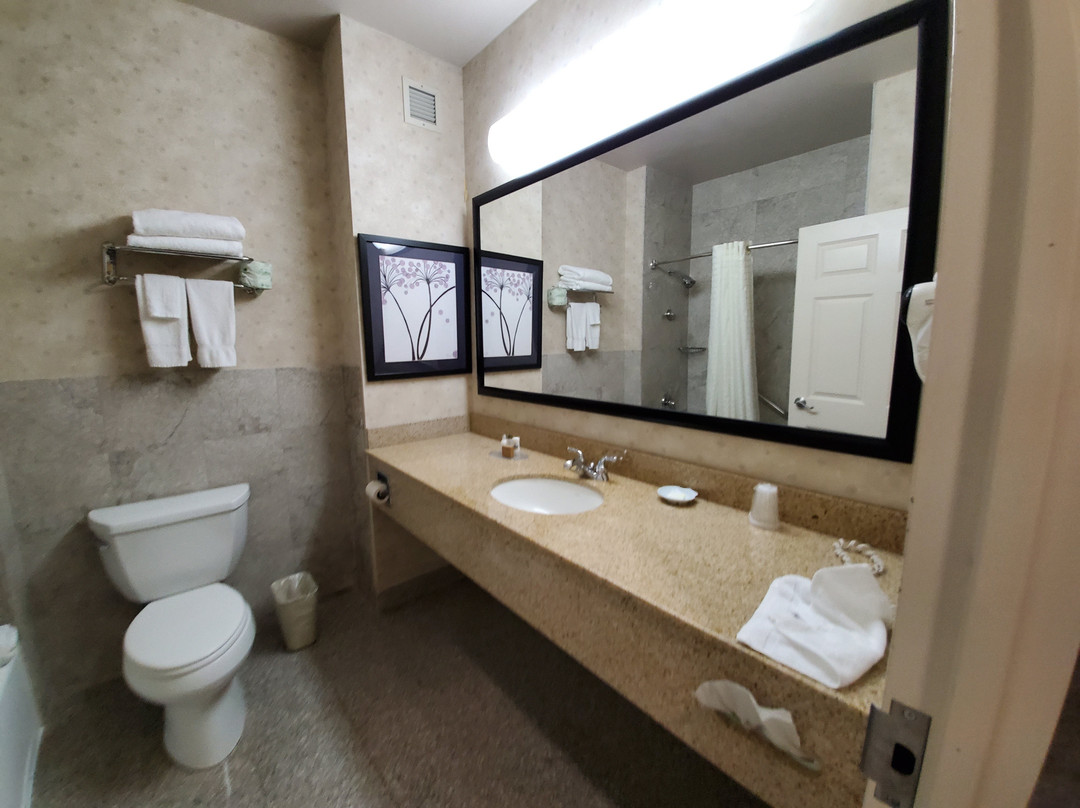 马哥拉瓜迪亚列克星敦酒店主图