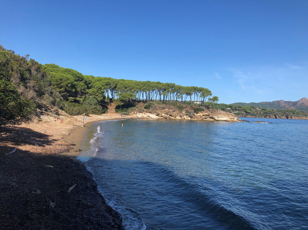 Spiaggia di Istia景点图片