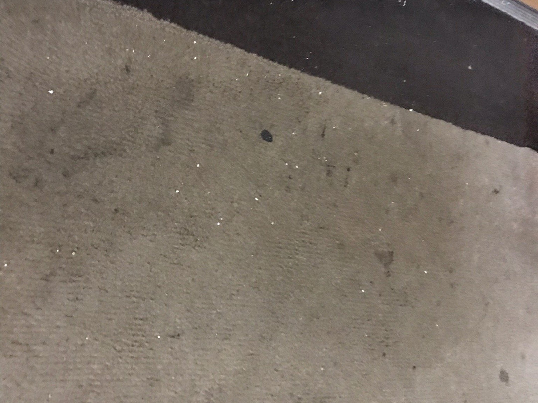 Sleep Inn & Suites主图