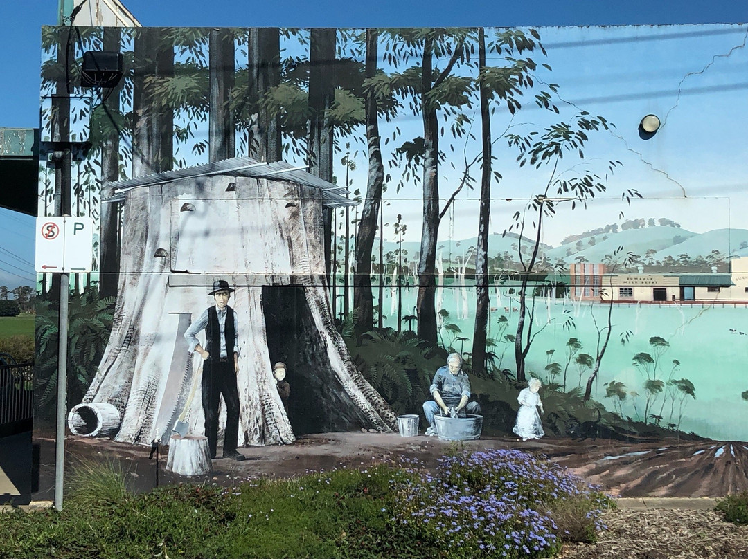 Dumbalk Mural景点图片
